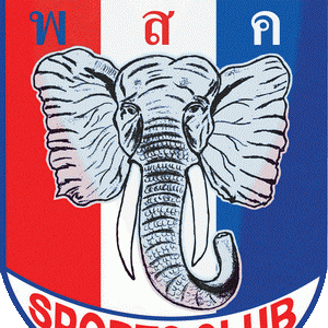 Psc Logo Saved From Word