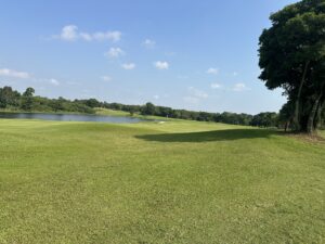 Greenwood 1 02042026