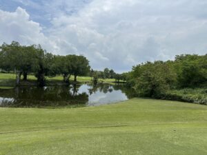 Greenwood 3 05052026